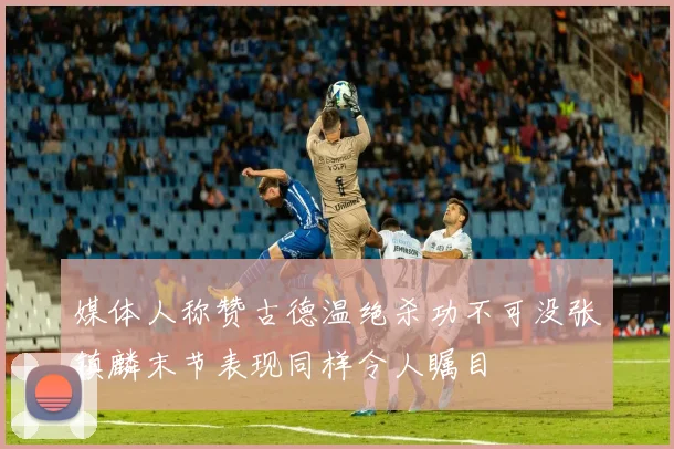 媒体人称赞古德温绝杀功不可没张镇麟末节表现同样令人瞩目